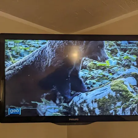 בית נופש Welcoming House *